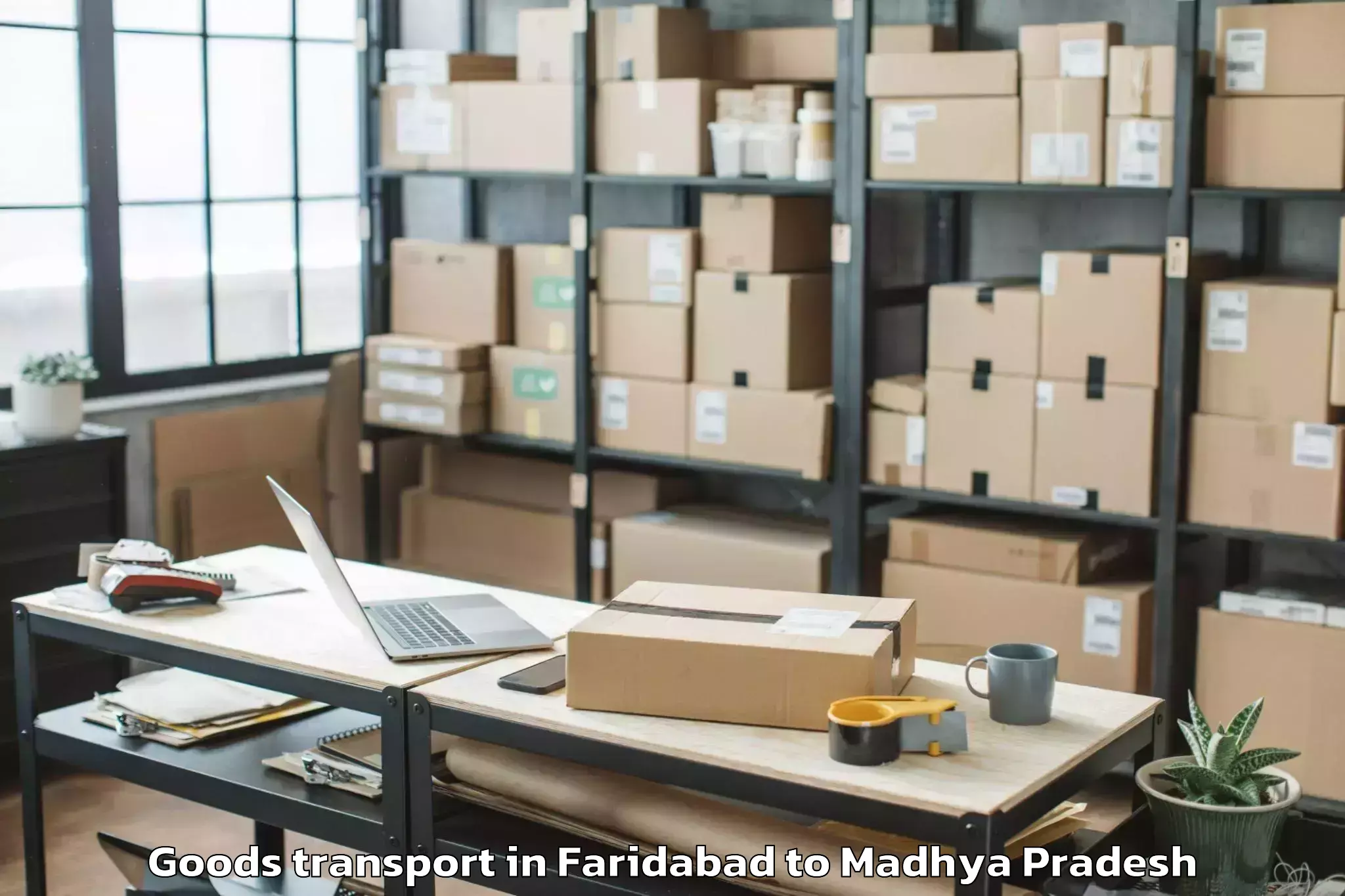 Reliable Faridabad to Prithvipur Goods Transport